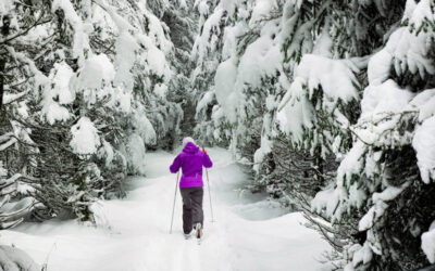 On Nordic Skiing and ‘Braiding Sweetgrass’