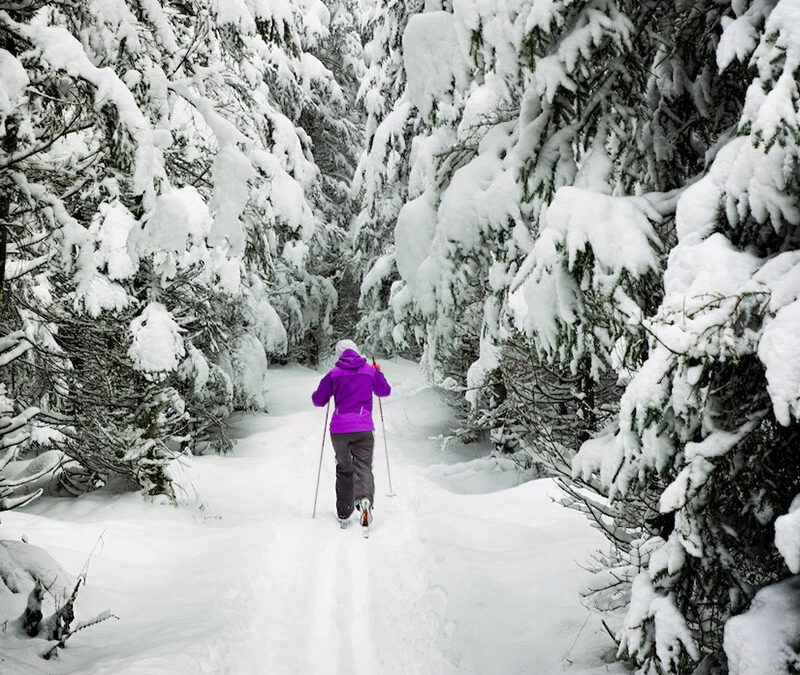 On Nordic Skiing and ‘Braiding Sweetgrass’